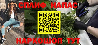 Альфа ПВП Нальчик